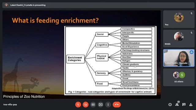 MANAGEMENT OF CAPTIVE ANIMALS (By Dr Lallianpuii SCIENTIST AT WILDLIFE INSTITUTE OF INDIA 🔥) смотреть онлайн