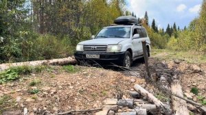 Охота на утку со спаниелем