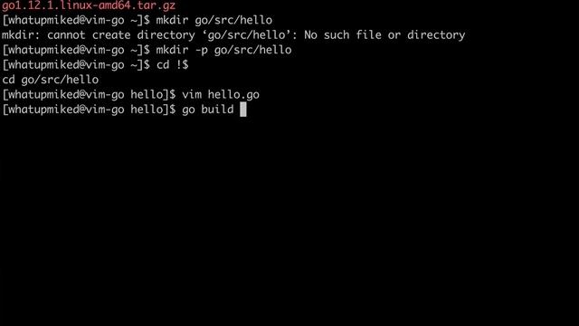 USE VIM: vim-go & Debugging смотреть онлайн
