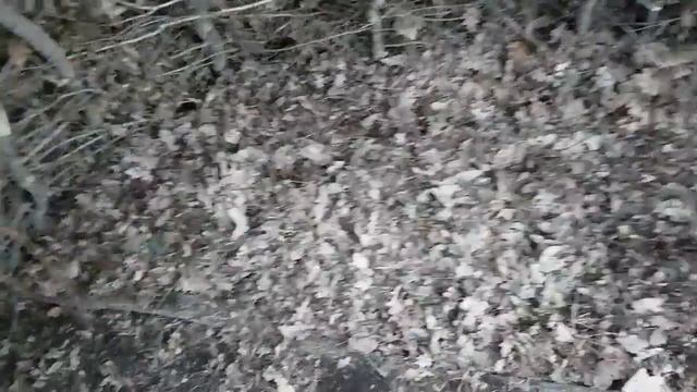 Wiki up tipi debris survival shelter romania смотреть онлайн