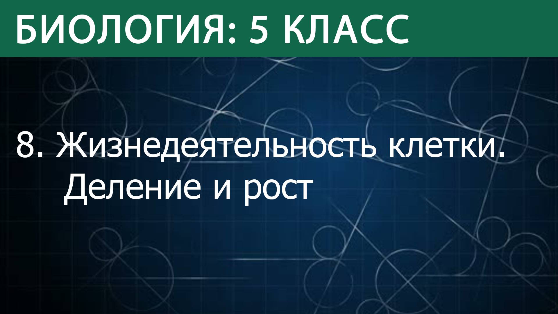 Биология 5 класс: Жизнедеятельность клетки, её деление и рост смотреть онлайн