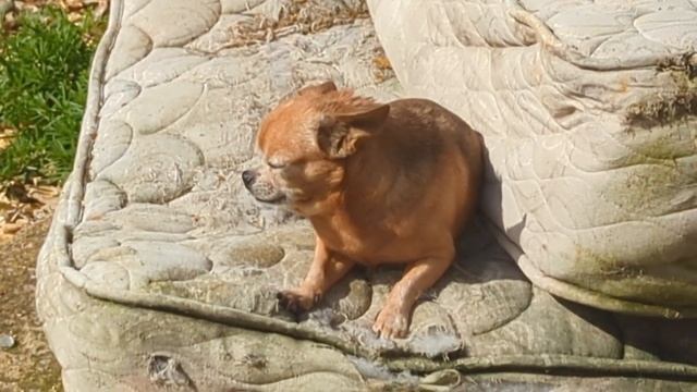 New Wind Generator Project - welding the frame. смотреть онлайн