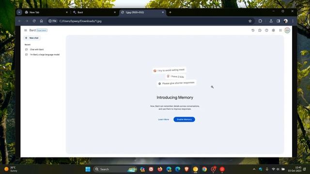 Google Bard's new Memory Feature Leaked! смотреть онлайн