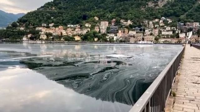 Como, strana sostanza nel lago davanti alla città смотреть онлайн