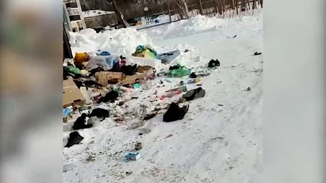 Мусор в Горнозаводске смотреть онлайн