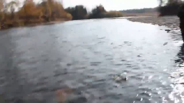 Рыбалка Би - Хем Тыва