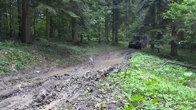 AMk 4x4 Konjuh Mercedes GD300 in MUD смотреть онлайн