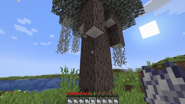 1.22 обновление! 24w40a _ Скрипун и Бледный Биом _ Майнкрафт Обзор
Неркин смотреть онлайн