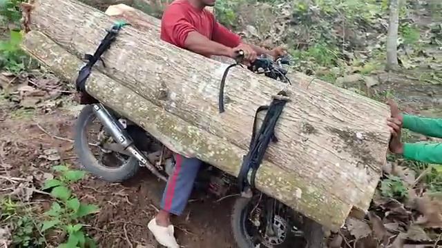 Квалифицированные работники такси по дереву везут большие бревна смотреть онлайн