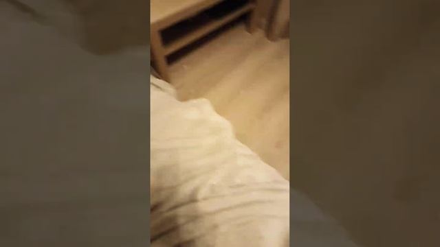 лего зомби против растений смотреть онлайн