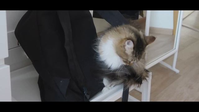 📚 БУДНИ СТУДЕНТА МАТЕМАТИКИ \ Первый день 2 курса \ трудности блогера смотреть онлайн