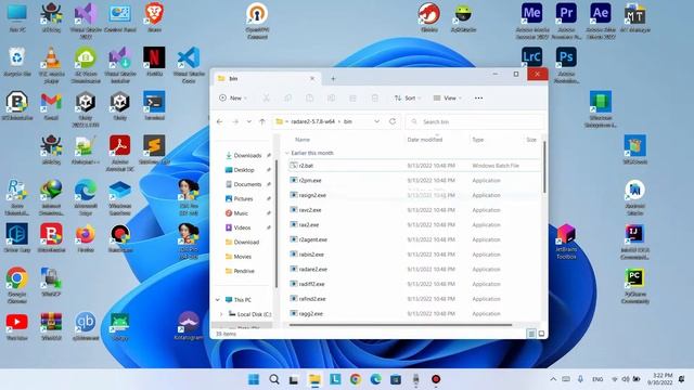 How to install Radare2 in windows. смотреть онлайн