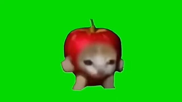 Happy Cat Apple Cat Walking Green Screen смотреть онлайн