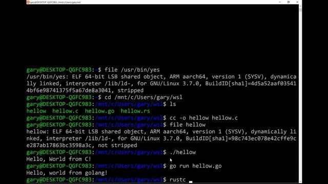 Windows Subsystem For Linux on Arm based Surface Pro X смотреть онлайн