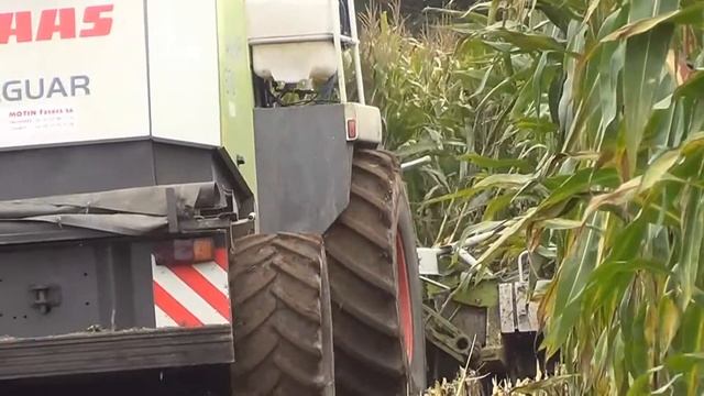 Claas Jaguar 870 , Fendt 916 And More At Work [ Esilage mais 2013 ] смотреть онлайн