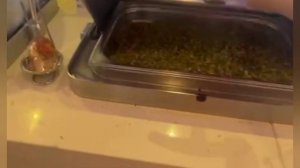 Отель Liberty Hotels Lykia 5*(Fethiye,Oludeniz) | ОБЗОР ОТЕЛЯ |REVIEW