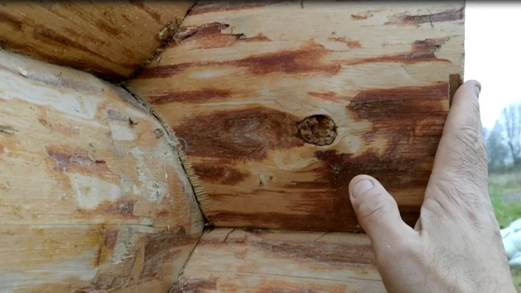 ПРАВИЛЬНАЯ рубка сруба без щелей. Рубим сруб из бревна ручной рубки без щелей топором и теслом. смотреть онлайн