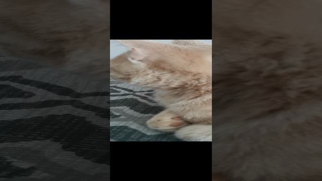милый милаша смотреть онлайн