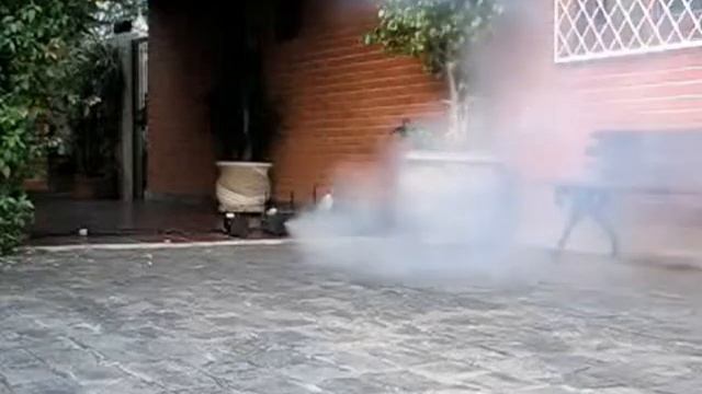 800w смотреть онлайн