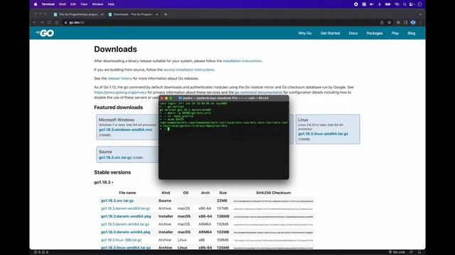 Golang Pemula #1 - Install Golang di Mac OS dan Setting Visual Studio Code смотреть онлайн