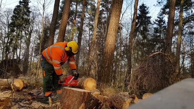 Hecht 962 ..Akkukettensäge von Einhell 2×5,2 mA/h смотреть онлайн