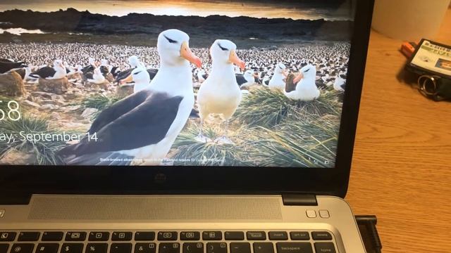 Laptop won't log in? Check this. смотреть онлайн