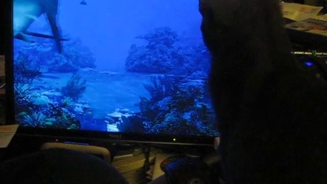 Shadow & Shark смотреть онлайн