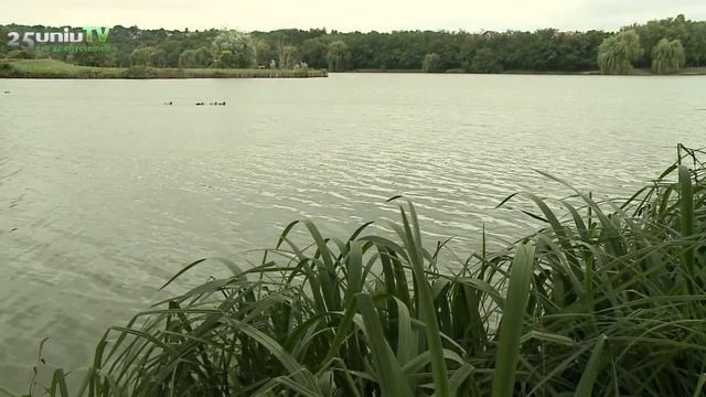 Conference about Water Quality Assessment methods смотреть онлайн