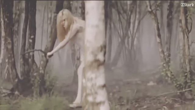 Aurora • Nature Boy (Türkçe Çeviri)