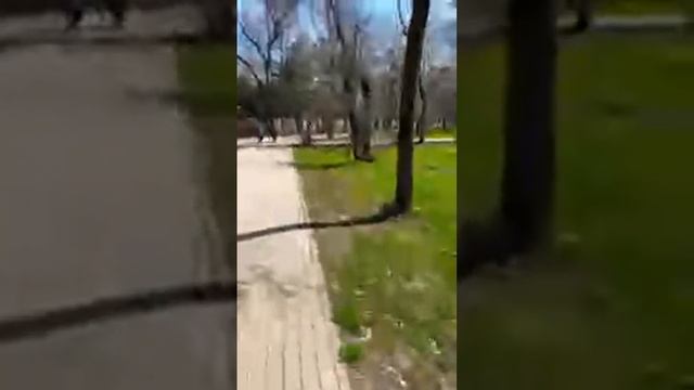 2 апреля. Работа дом, дом работа👋 СТРИМ смотреть онлайн