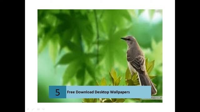 Download Best HD Desktop Wallpapers,Widescreen смотреть онлайн