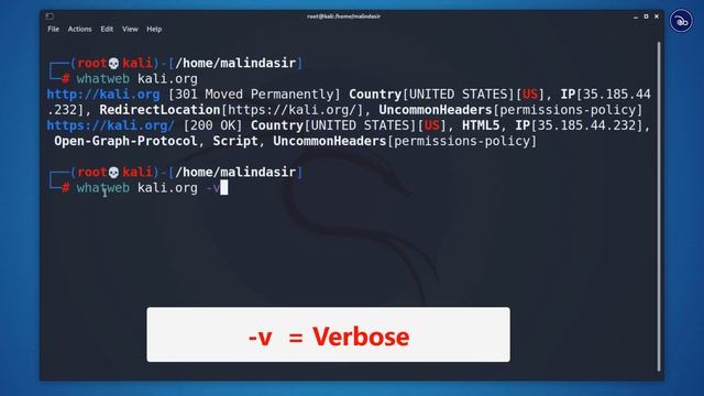 Identify website technologies with whatweb tool in sinhala ethical hacking смотреть онлайн
