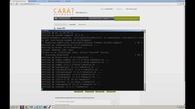 How to setup a Remote Desktop VNC server on Ubuntu смотреть онлайн