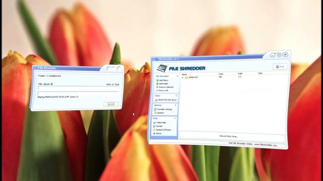 Breaking Windows XP смотреть онлайн