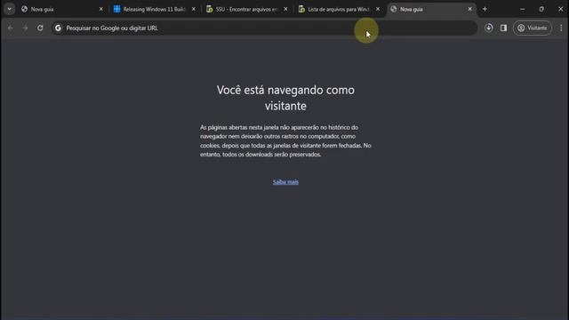 Como Antecipar o Windows 10 e 11 as atualização do canal release preview para o canal estável! смотреть онлайн