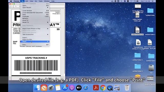 PM 246S Transport Label Printer Installation Guide Mac смотреть онлайн