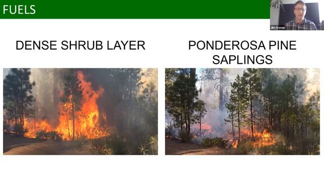 Fieldwork from Afar Using Remote Sensing Tools to Inventory Fuels and Fire Behavior смотреть онлайн