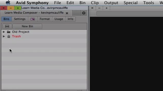 Learn Media Composer Lesson 2: The Interface & Intro to Bins смотреть онлайн