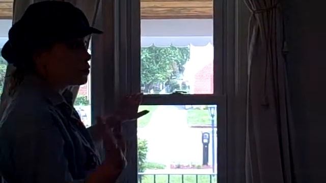 Single Hung Windows: Jeanne's Windows смотреть онлайн