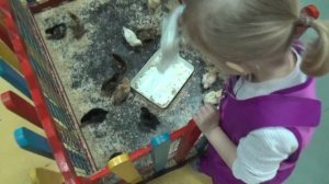 ВЛОГ Сдали ковры в химчистку ♡ не подошли по размеру платья