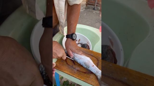 Шашлык из пеленгаса #шашлык