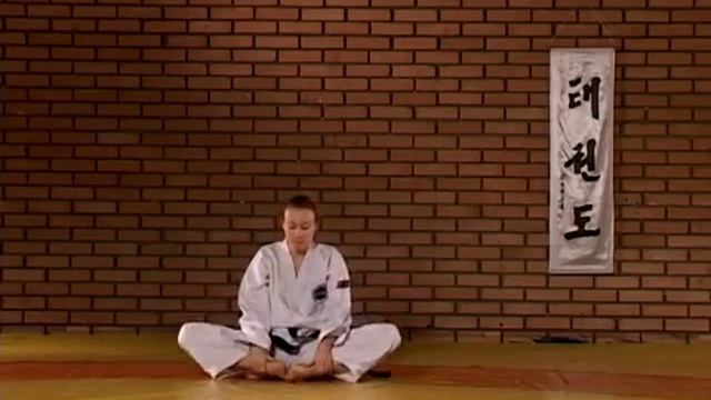 Тхэквондо ИТФ для начинающих введение, разминка смотреть онлайн