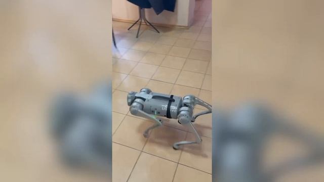 Курсы повышения робототехников в МГТУ "СТАНКИН", г. Москва смотреть онлайн