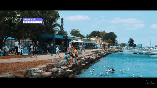 시드니여행 브이로그🇦🇺 시드니에 빠지가 있다? 비치 질리는 분들 꼭 봐야 할 영상! I 본다이비치, 맨리비치, 쉘리비치, 쿠지비치, 오즈모포켓 I 시에스타 смотреть онлайн