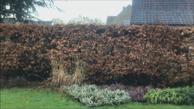 13 iMovie De film смотреть онлайн