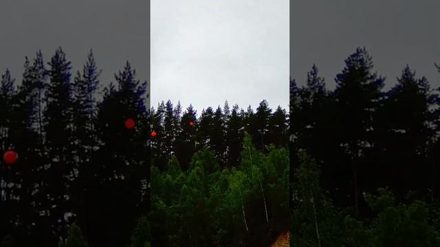 Учу стрельбе по взлетающему Фазану в Спортинг клубе Парк отеле Цитадель Тула смотреть онлайн