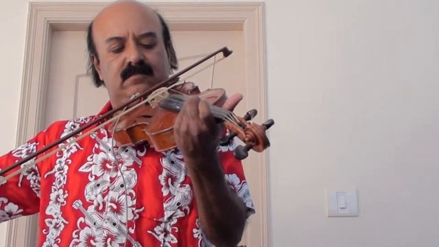 Chinna Chinna vanna kuyil - Violin Solo смотреть онлайн