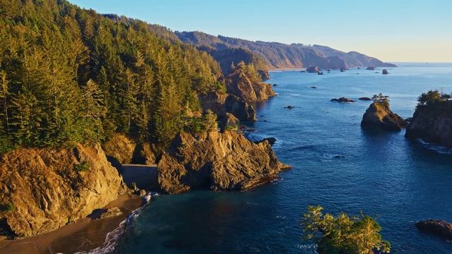 Oregon Coastline | MacOS Sonoma Live Wallpaper смотреть онлайн