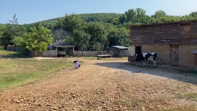 ВЛОГ Что творится у нас во дворе! ВЕЗДЕ артефакты Алисы! Едем кататься на лошадях! Хороший день! смотреть онлайн