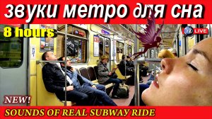 ЗВУКИ МЕТРО ДЛЯ СНА 8 ЧАСОВ. SOUNDS OF REAL SUBWAY RIDE.